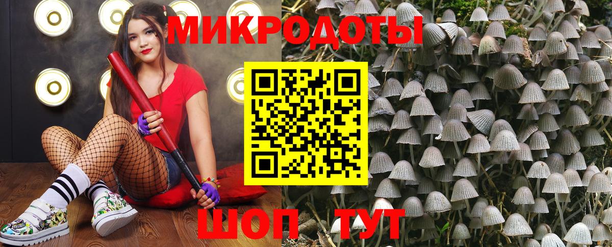 Галлюциногенные грибы GOLDEN TEACHER  Вход с VPN  Белорецк 